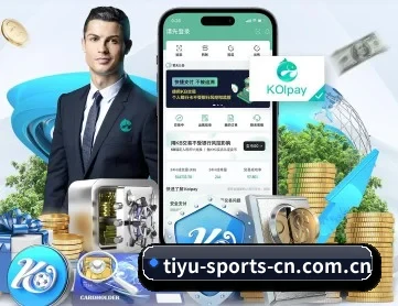 333体育比分 APP 深度功能
